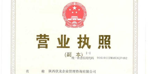 陜西伏龍企業(yè)管理咨詢 賦能企業(yè)，驅(qū)動(dòng)增長(zhǎng)