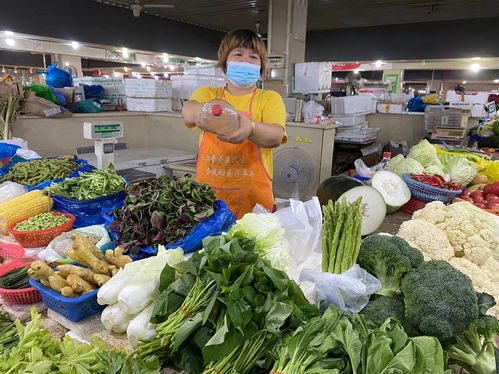 夏日冷鏈護航，松江城“菜籃子”新鮮度夏