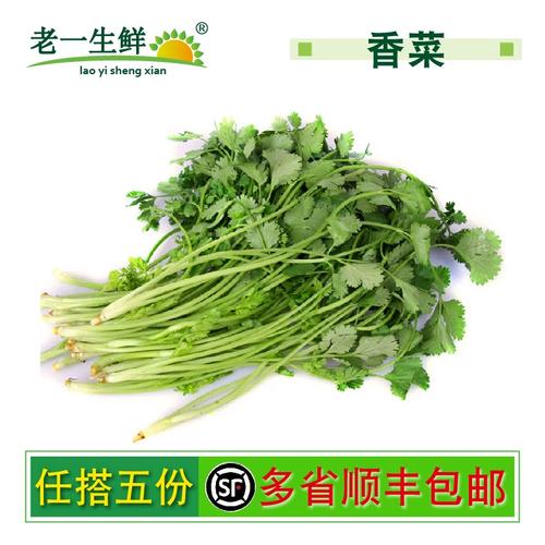 香菜 餐桌上不可或缺的點(diǎn)睛之筆